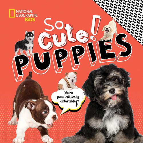 Cover for So Cute