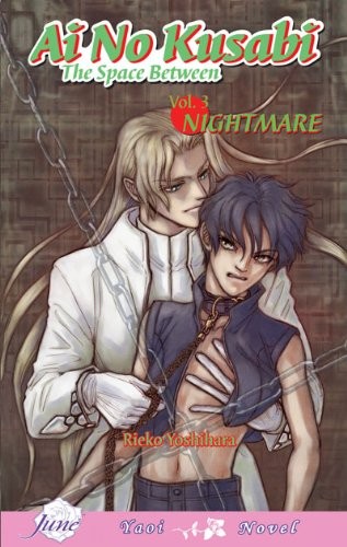Cover for Ai No Kusabi