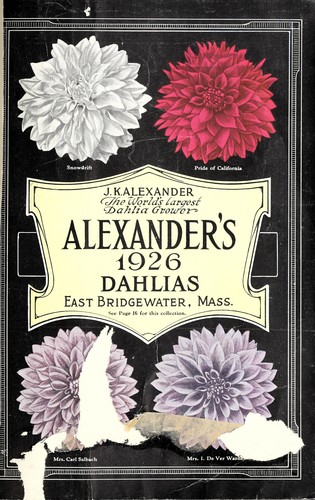 Cover for Alexander's 1926 dahlias