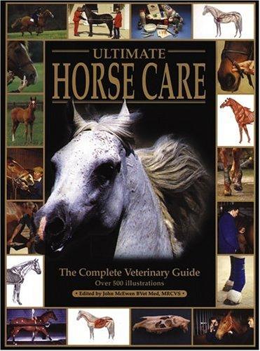 Cover for The ultimate horse care