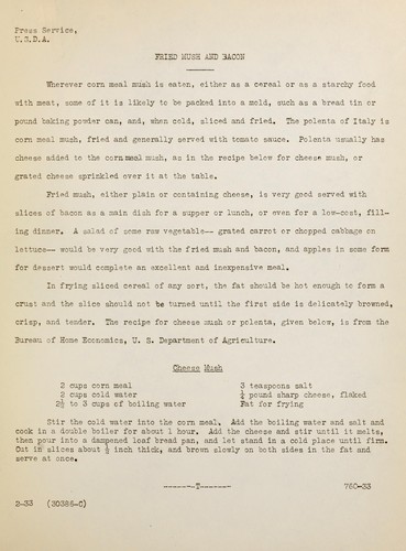 Cover for Fried mush and bacon