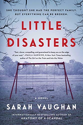 Cover for Little Disasters