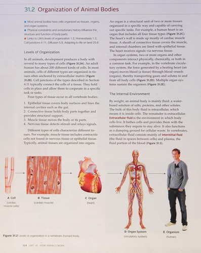 Cover for Volume 5 - Animal Structure and Function