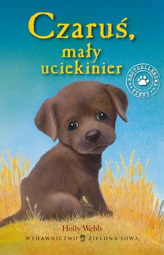 Cover for Czaruś, mały uciekinier
