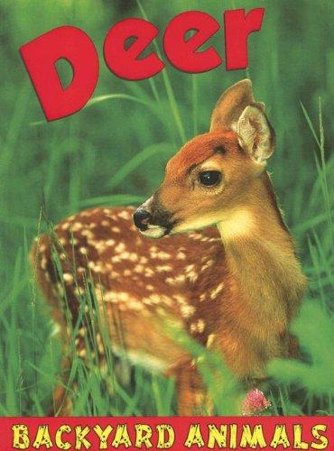 Cover for Deer (Backyard Animals)
