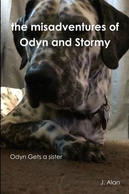 Cover for Misadventures of Odyn and Stormy