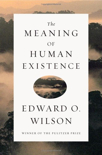 Cover for The Meaning of Human Existence