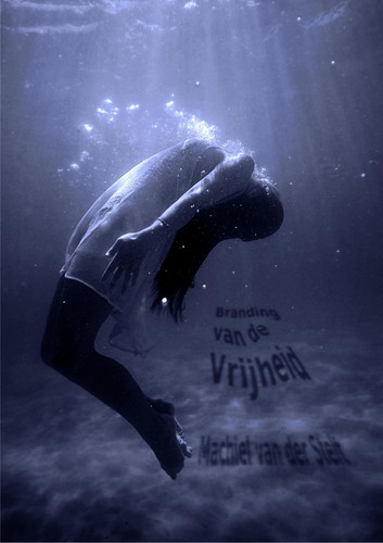 Cover for Branding van de Vrijheid
