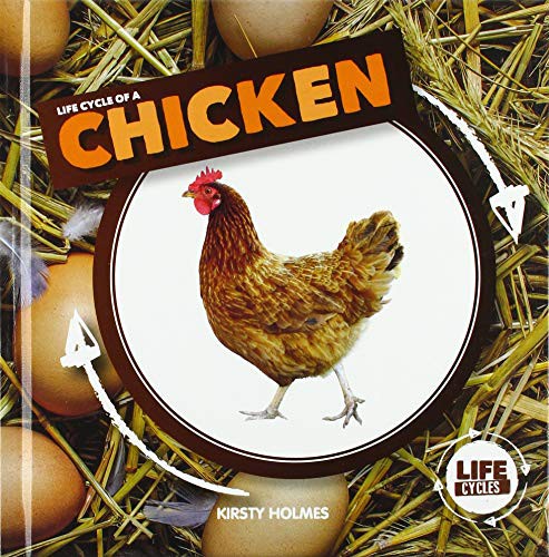 Cover for Life Cycle of a Chicken