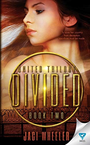 Cover for Divided