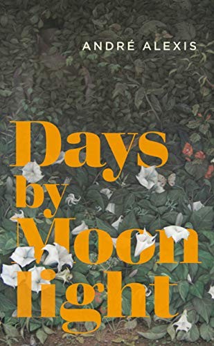 Cover for Days by Moonlight