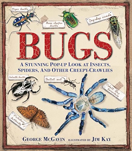 Cover for Bugs: A Stunning Pop-up Look at Insects, Spiders, and Other Creepy-Crawlies