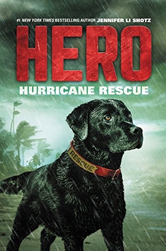 Cover for Hurricane Rescue