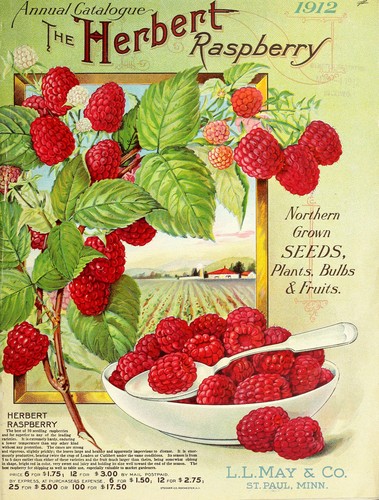 Cover for Annual catalogue 1912