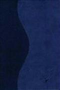 Cover for KJV Soft-Touch (tm) Visual Reference (tm) Bible w/ Dove Design