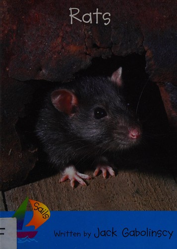 Cover for Rats