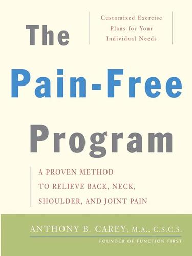 Cover for The Pain-Free Program