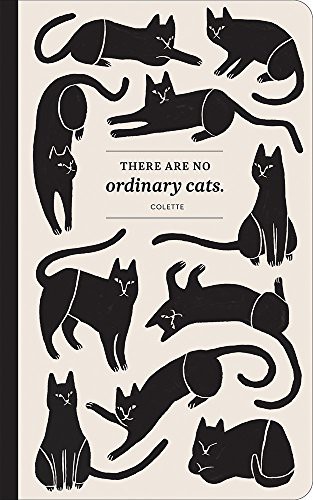 Cover for There are no ordinary cats.