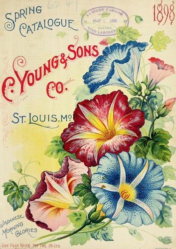 Cover for Spring catalogue