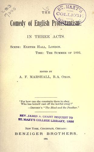 Cover for The comedy of English Protestantism