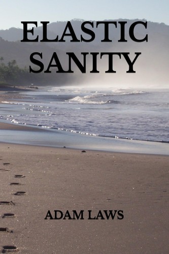 Cover for Elastic Sanity