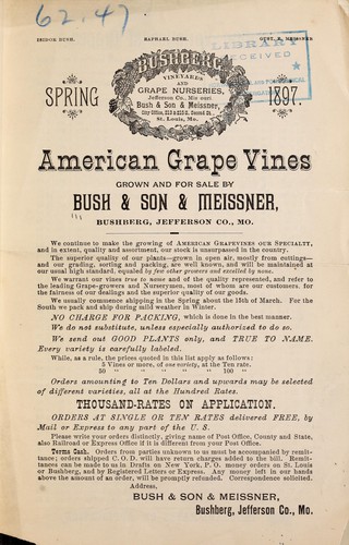 Cover for American grape vines