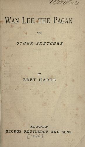 Cover for Wan Lee, the pagan