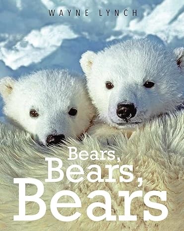 Cover for Bears, Bears, Bears
