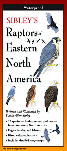 Cover for Sibley's Raptors of Eastern North America