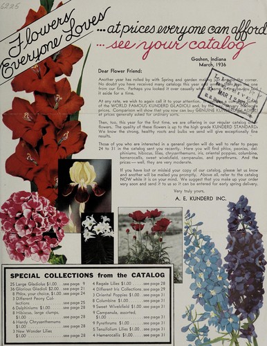 Cover for Flowers everyone loves, at prices everyone can afford