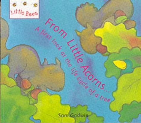 Cover for From Little Acorns (Little Bees)