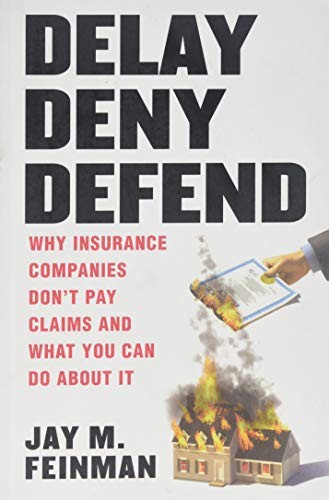 Cover for Delay Deny Defend--paperback