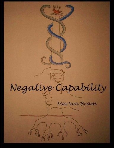 Cover for Negative Capability