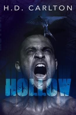 Cover for Hollow