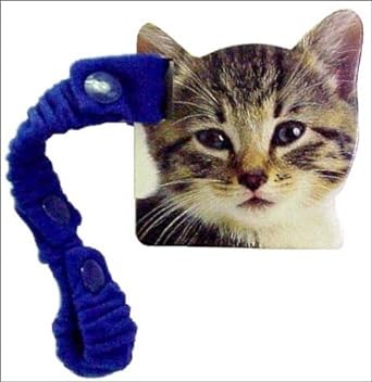 Cover for Kitten.