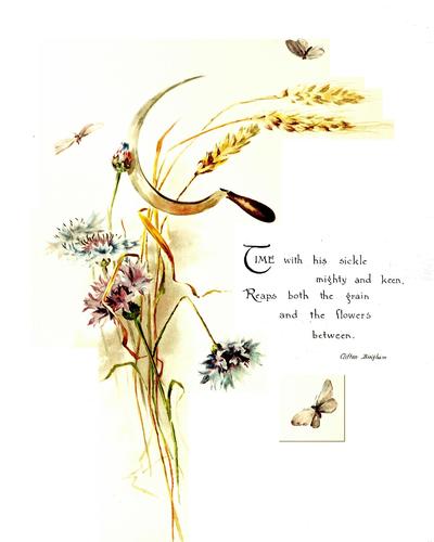 Cover for Through woodland and meadow & other poems