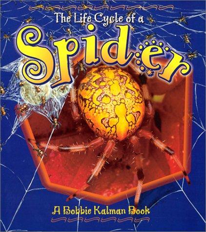 Cover for The Life Cycle of a Spider (The Life Cycle)