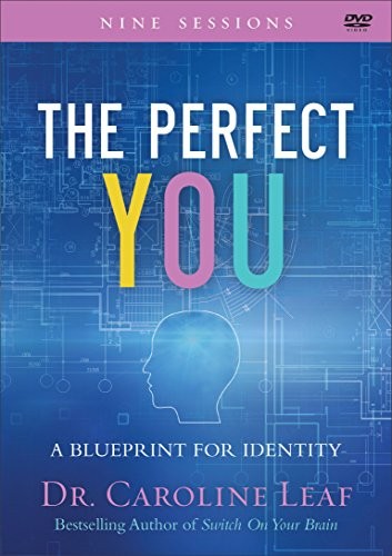 Cover for The Perfect You
