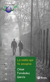 Cover for La niebla que te envuelve