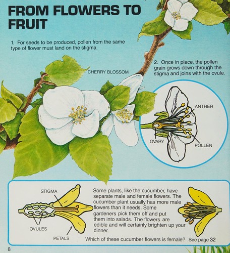 Cover for Plants and flowers