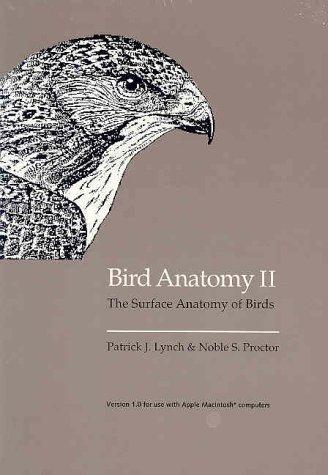 Cover for Bird Anatomy II