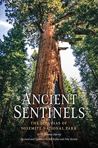 Cover for Ancient Sentinels