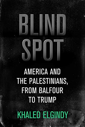 Cover for Blind Spot