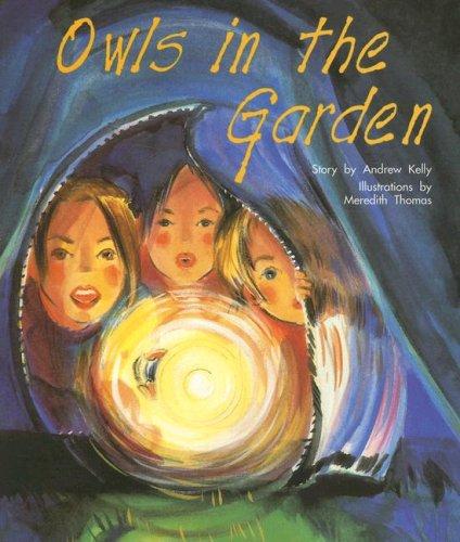 Cover for Owls in Garden (PM Story Books Gold Level)