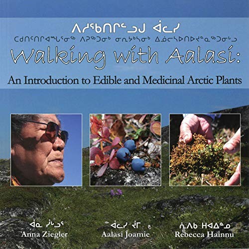Cover for Walking with Aalasi