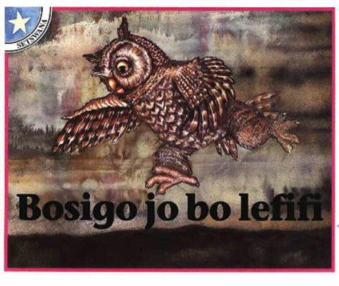 Cover for Bosigo Jo BO Lefifi (Children's Stories)