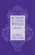 Cover for Bones in Their Wings