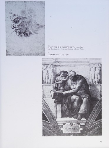 Cover for Michelangelo