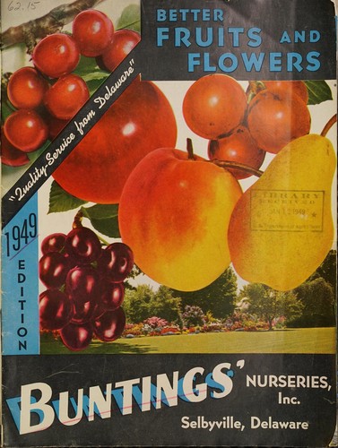 Cover for Better fruits and flowers