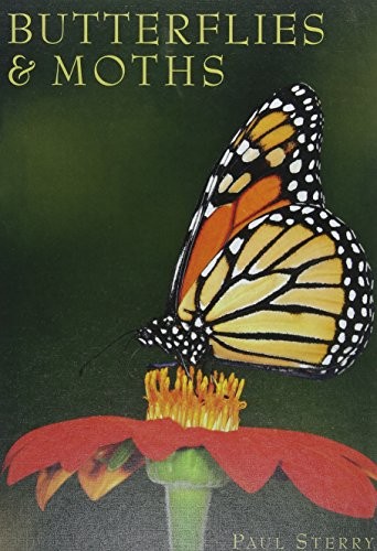 Cover for Butterflies & Moths